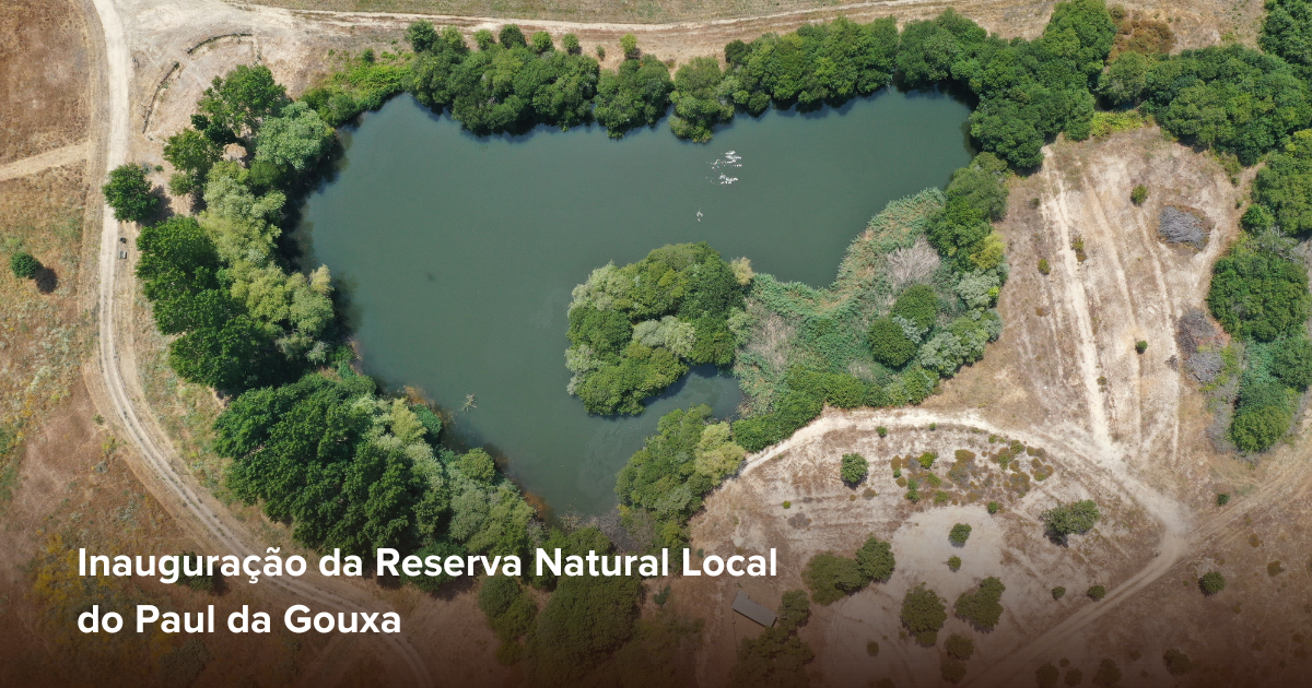 Reserva Natural Local do Paul da Gouxa